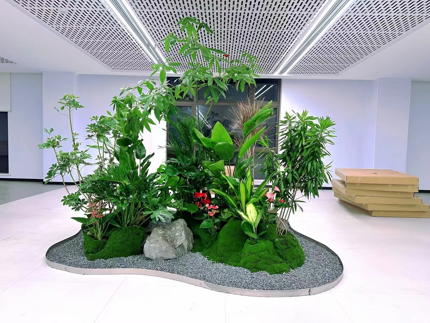 专业花卉租摆，杭州湾的绿色风情等你来享